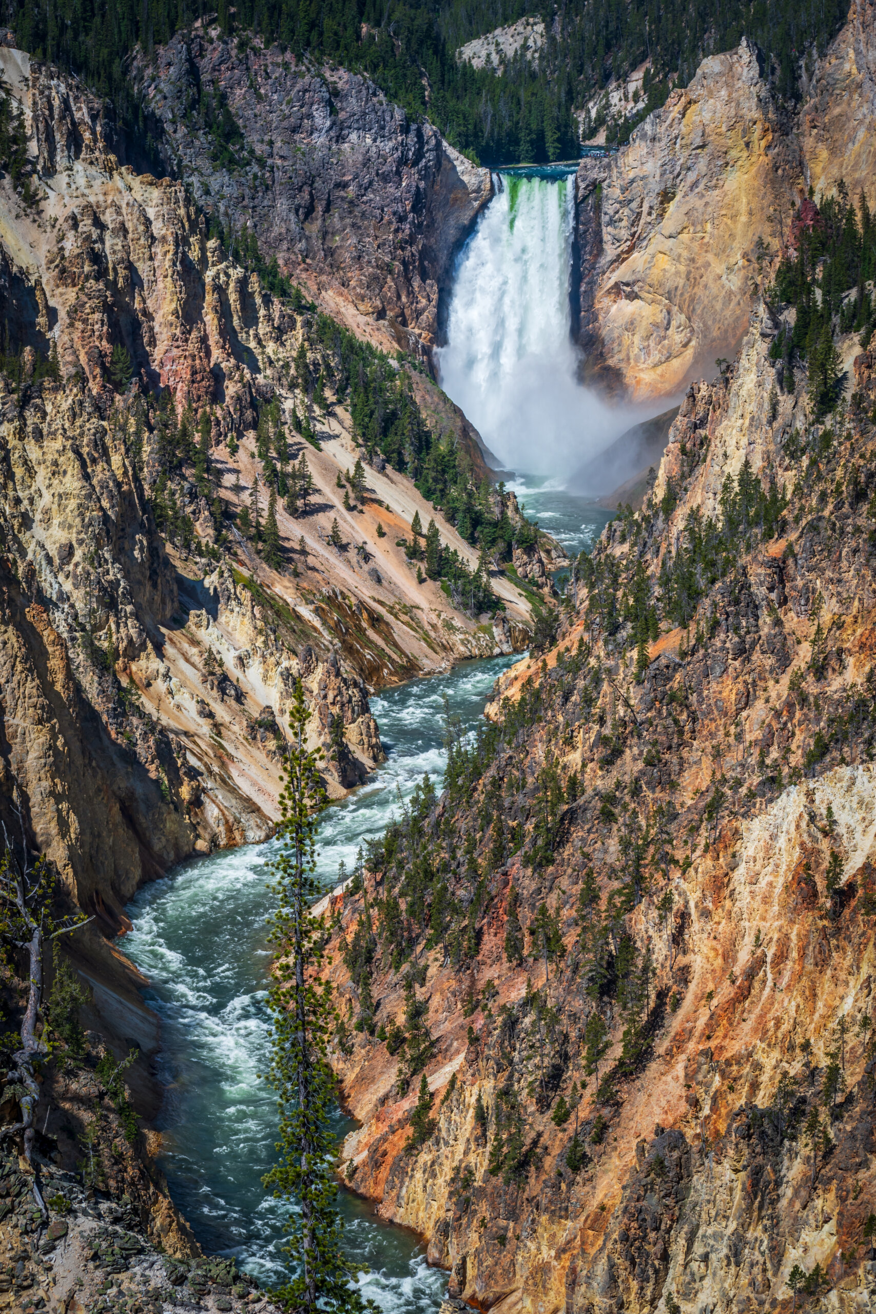 Waterfall Symphony: Lower Falls of the Yellowstone River