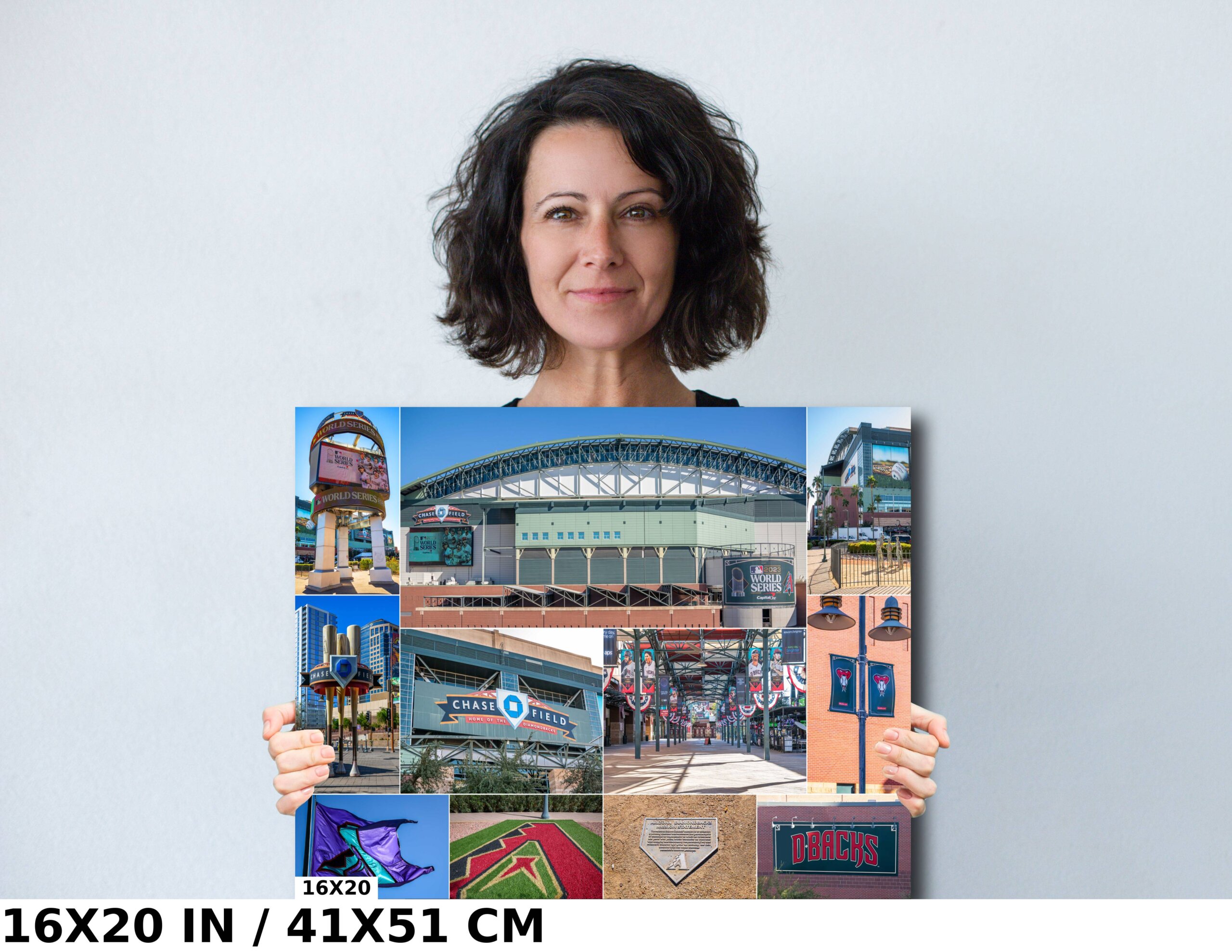 World Series Excitement: Chase Field (Collage) Diagram World Series Excitement: Chase Field (Collage) Diagram