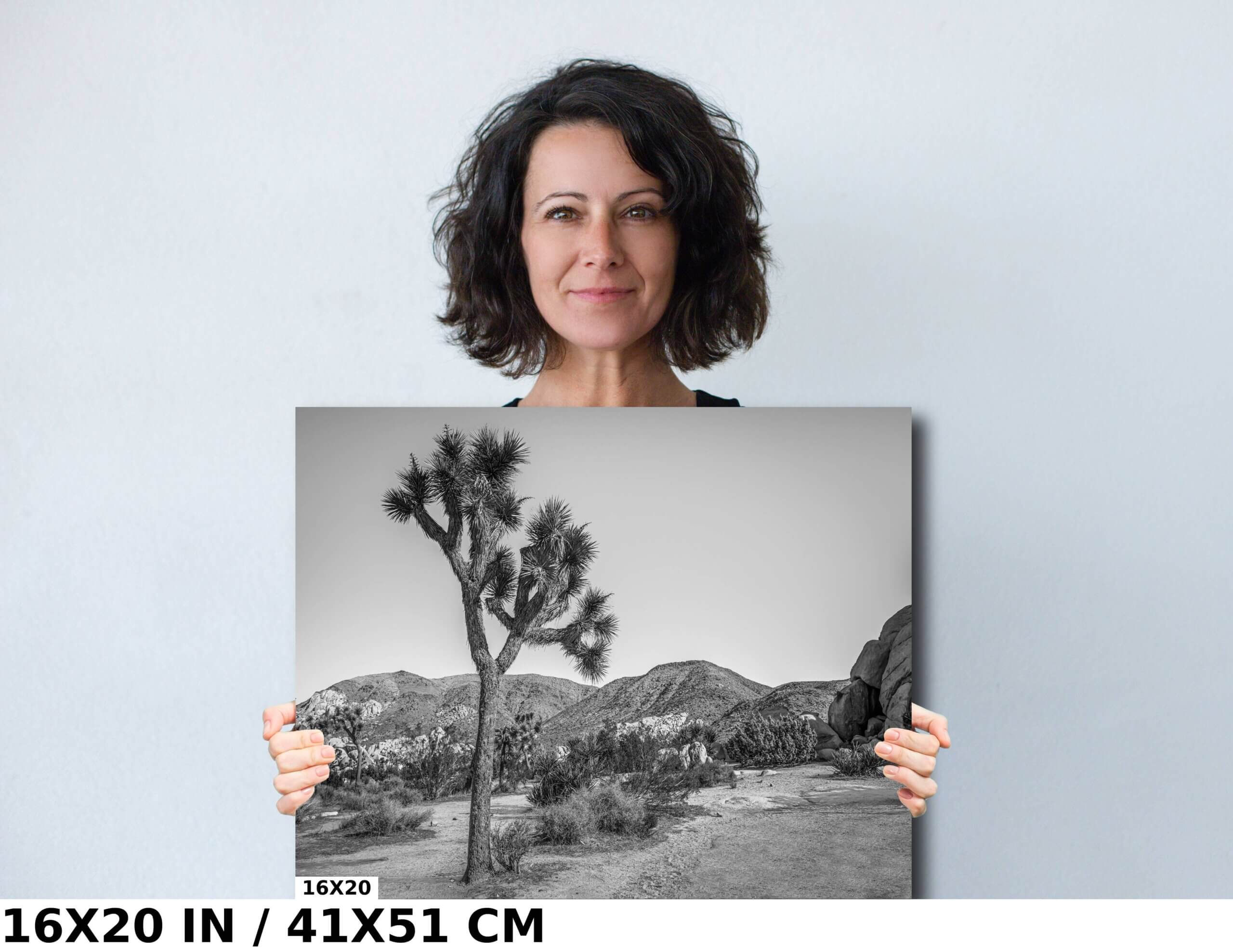 Guardians of Time: Joshua Tree National Park Diagram