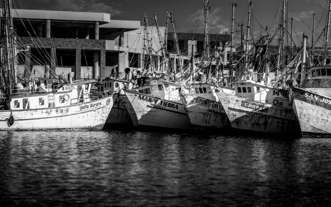 Harbor Haven: Fishing Boats at Rest in Puerto Peñasco