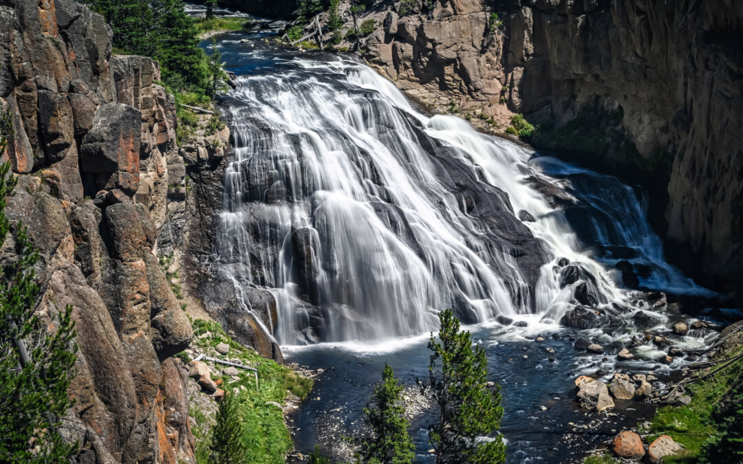 Falls Elegance: Gibbon Falls in Yellowstone