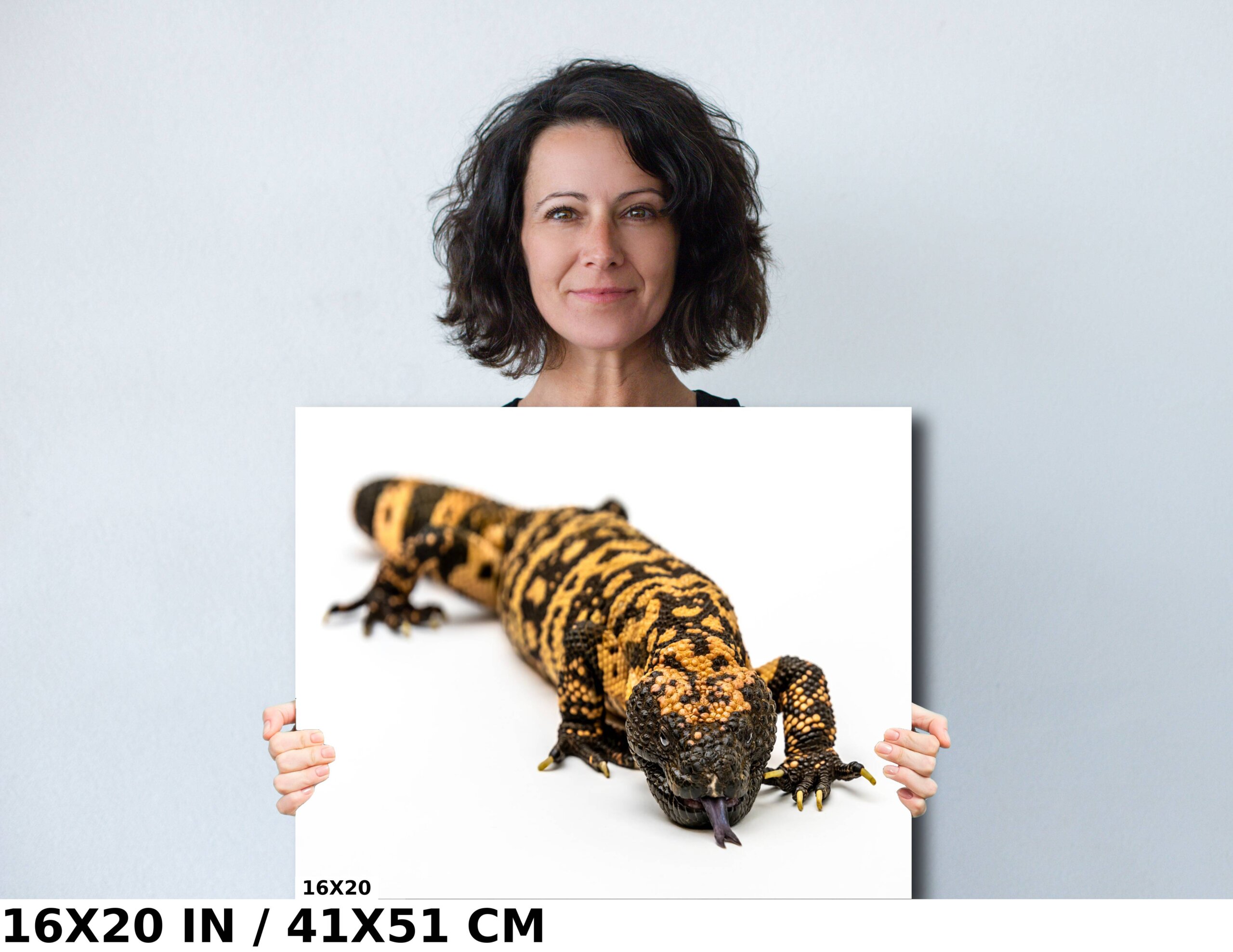 Reptilian Royalty: Gila Monster Diagram