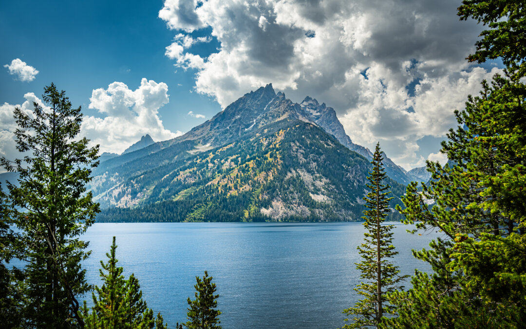 Jewel of the Tetons: Jenny Lake Grand Teton National Park