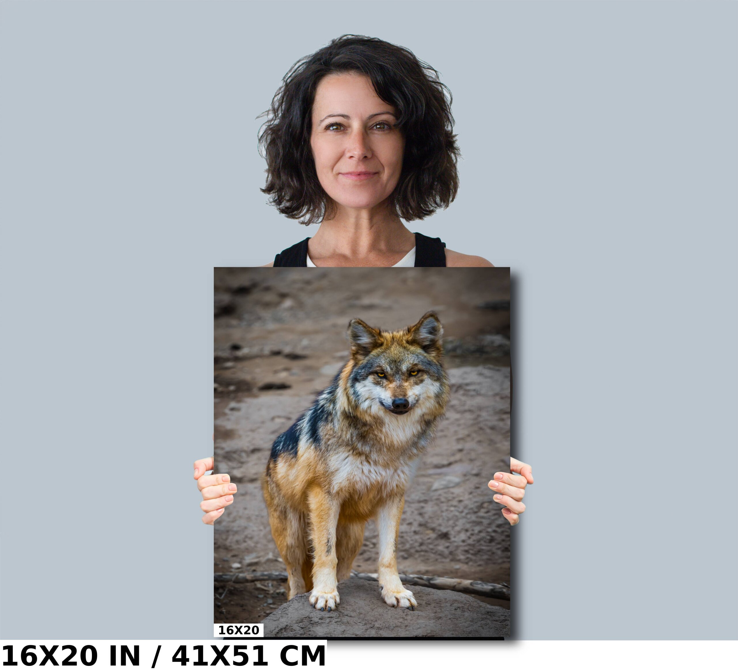 You Look Delicious: A Mexican Wolf’s Piercing Stare Diagram