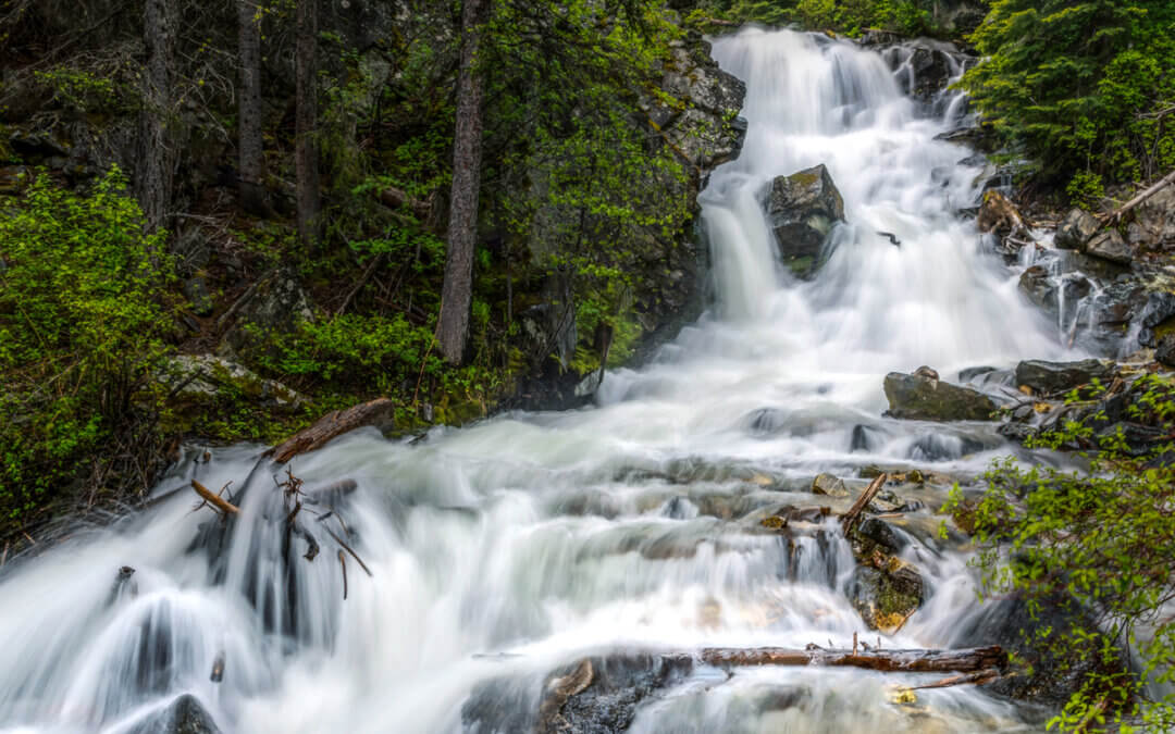 Lost in Wonder: Exploring the Majesty of Lost Creek Falls