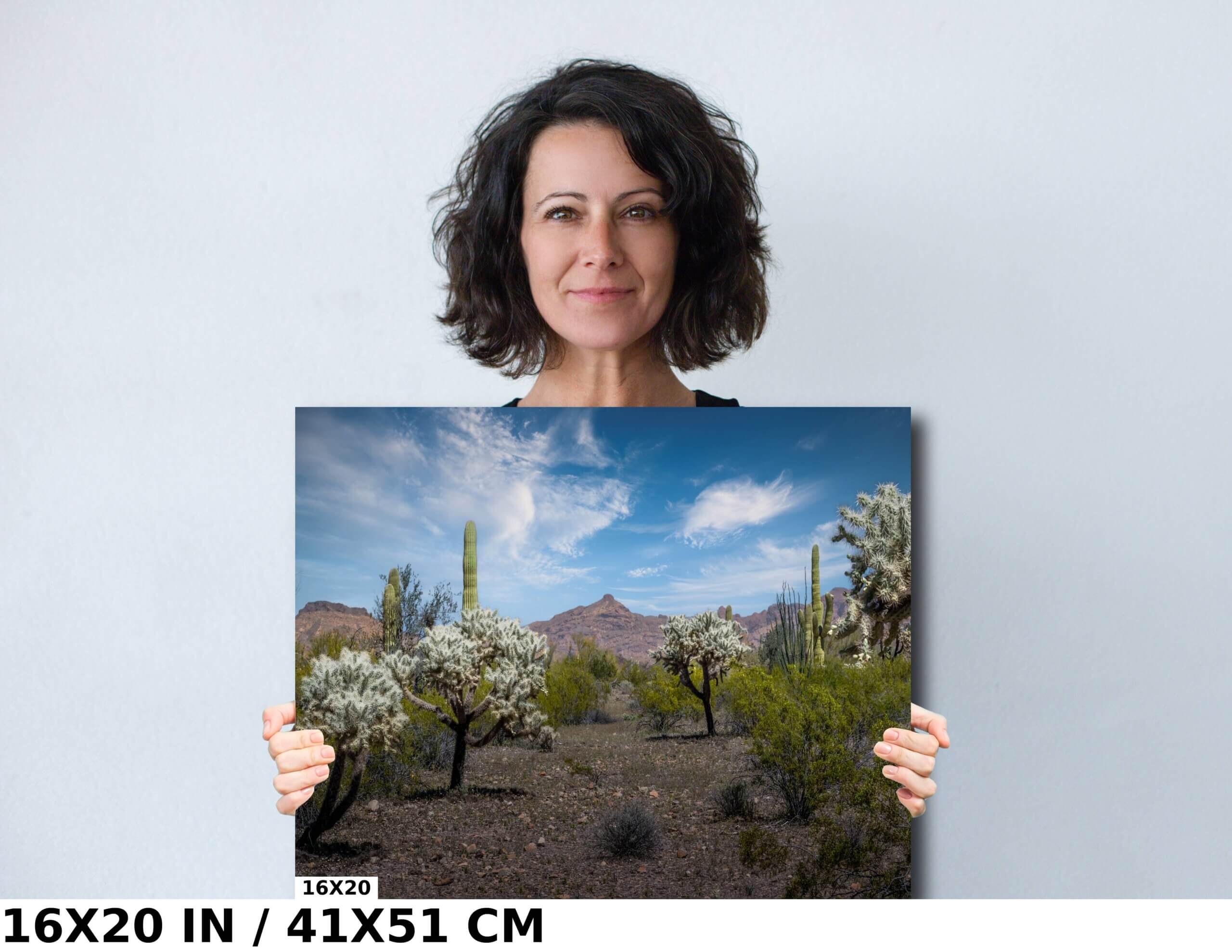 Cactus Nirvana: Organ Pipe National Monument Diagram