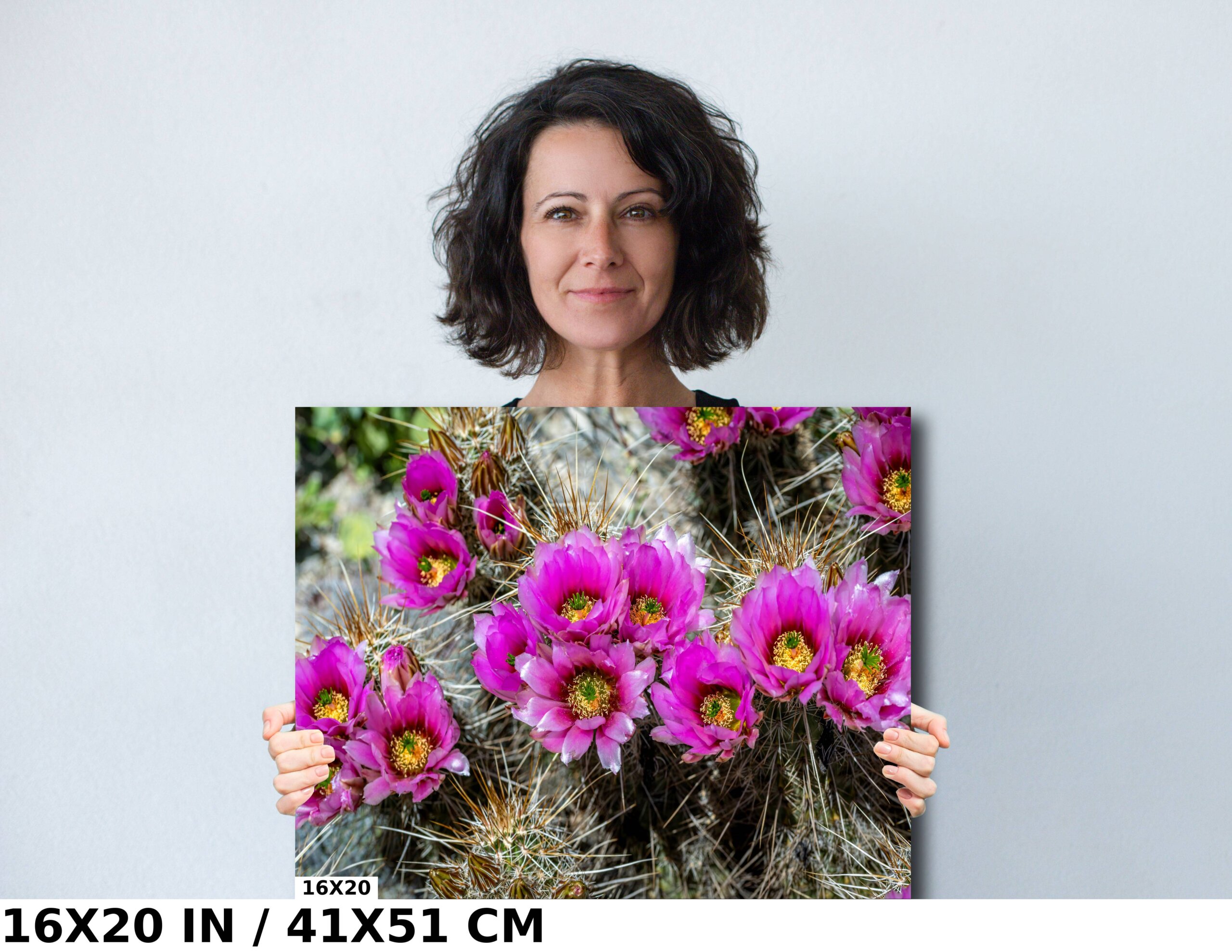 Prickly Beauty: Hedgehog Cactus Diagram
