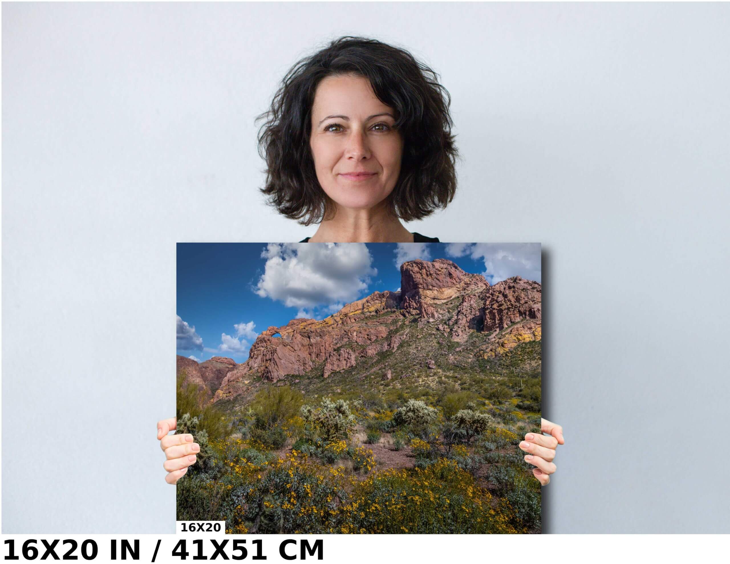 Rocky Solitude: Organ Pipe Cactus National Monument Diagram Rocky Solitude: Organ Pipe Cactus National Monument Diagram