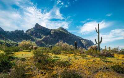 Skyward Splendor: Picacho Peak State Park