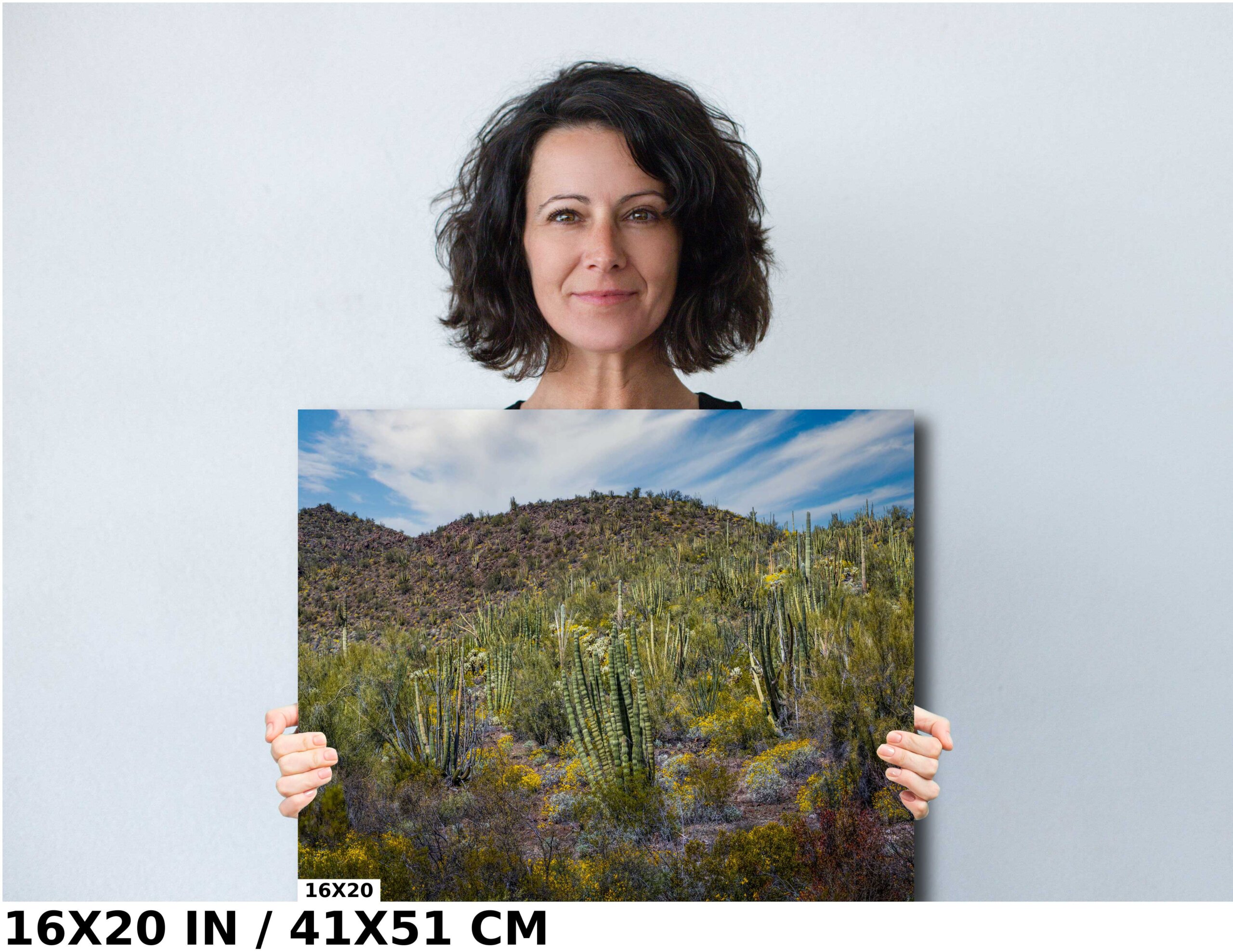 Desert Bouquet: Tiger Tailed Organ Pipe Cactus and Springtime Wildflowers Diagram