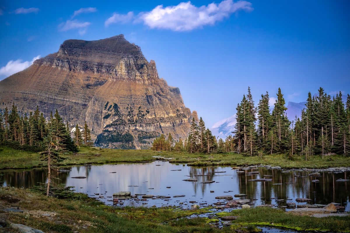 Glacier’s Summit: Logan Pass Overlooking Going-to-the-Sun Mountain