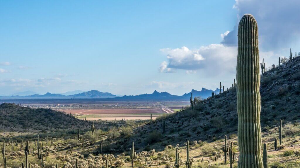 Must-Visit Cities for Fans of Bungalow Style Architecture