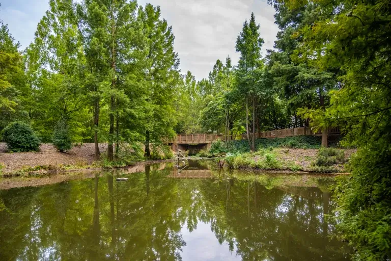 5 Easy Day Trips You Can Take From Columbia, South Carolina, My Favorite Included