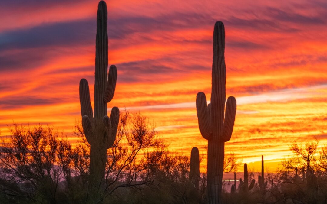 Gold Canyon, Arizona, with its breathtaking landscapes, has always been a treasu…