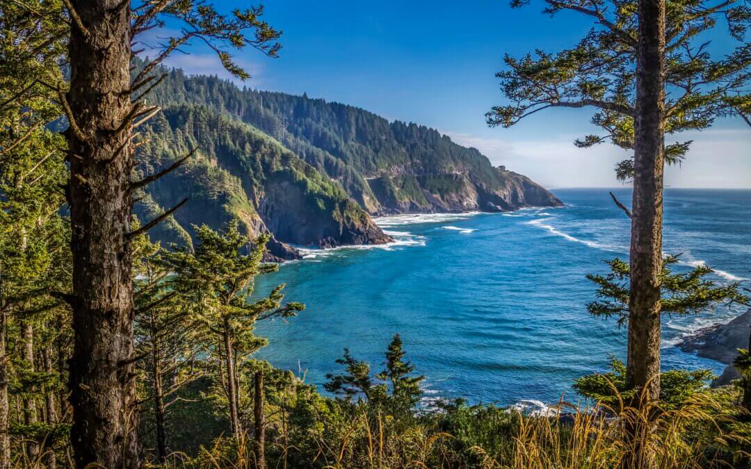 Oregon Evergreens Meet The Pacific: Cape Cove Beach, Heceta Headland