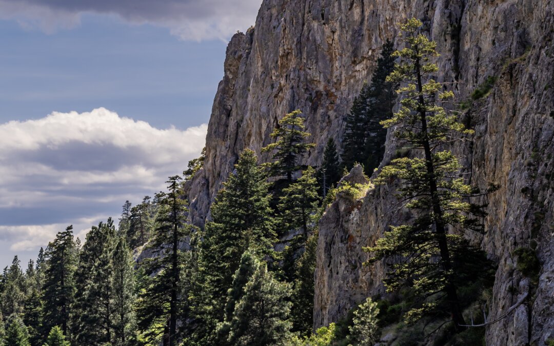 Rocky Riverfront: Gates of the Mountains Wilderness and Missouri River