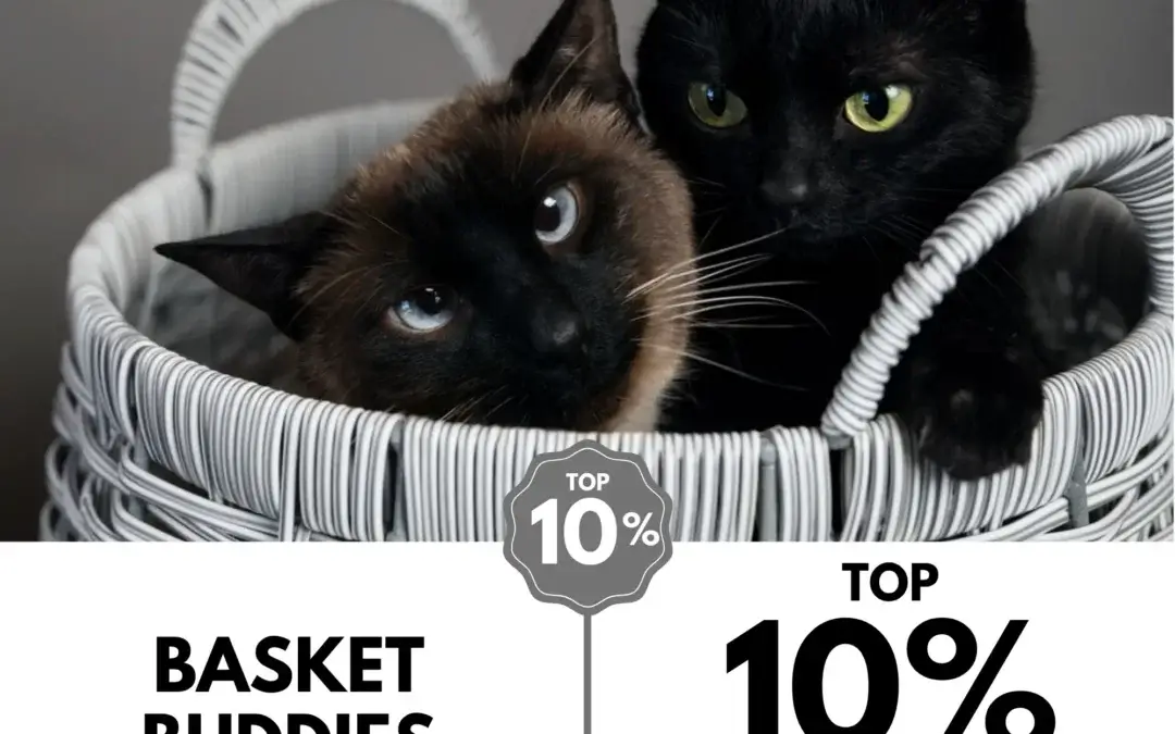 Viewbug.com: Top 10% Most Voted in ‘Meow Mysteries Photo’ Contest