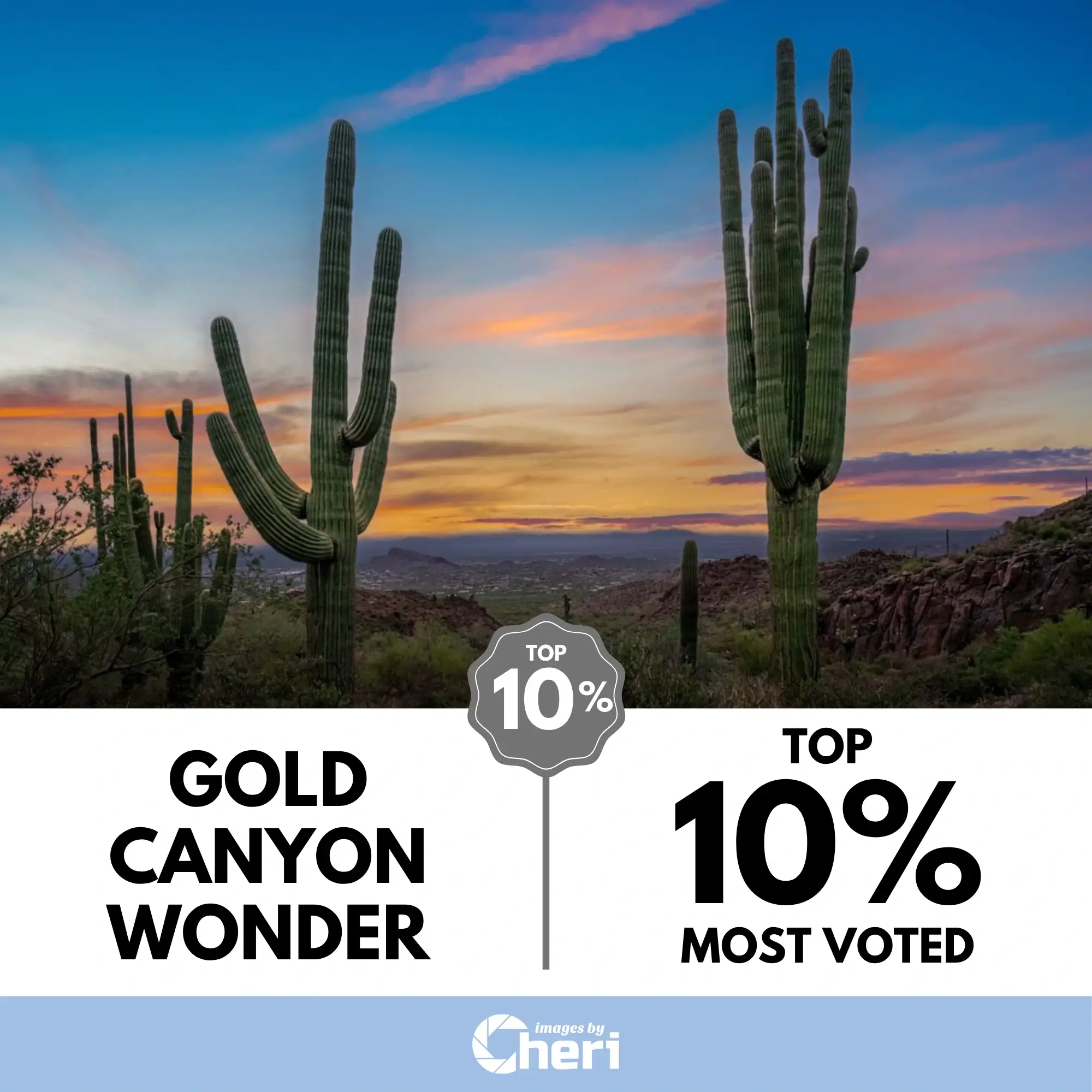 Hiking Wonders Photo Contest entry, "Gold Canyon Wonder," featuring two large Saguaro cacti at sunset in Arizona, with the Top 10% Most Voted in Viewbug's photo contest