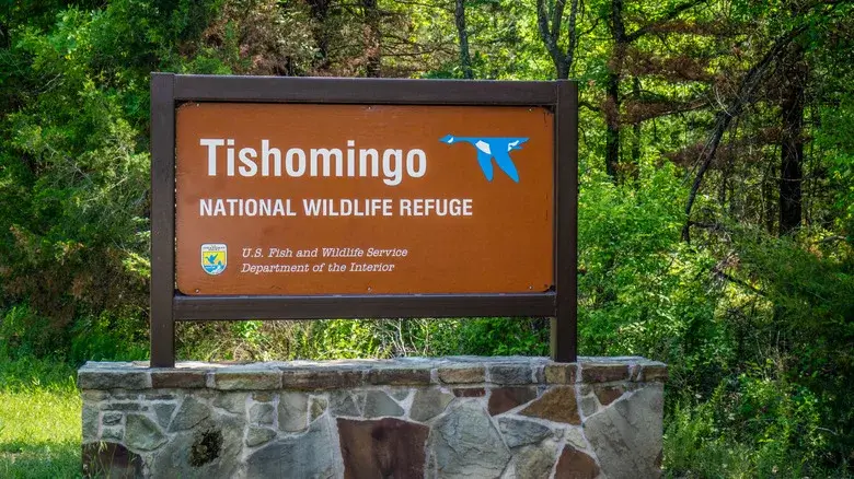 This Adorable Oklahoma City Is A Storybook Retreat With Boutiques, Farm-To-Table Bites, And Riverside Trails