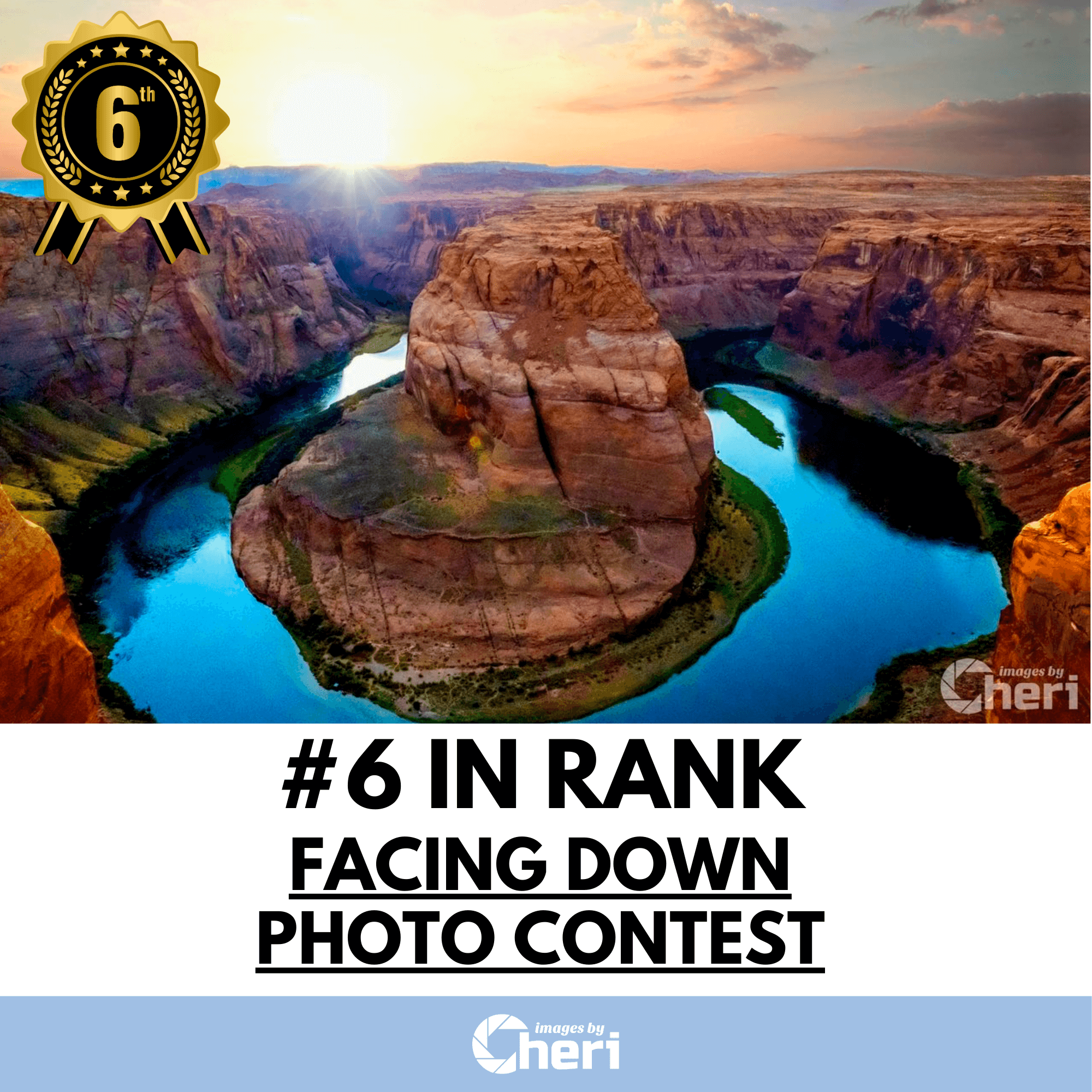 #6 Placement in the ViewBug Facing Down Photo Contest